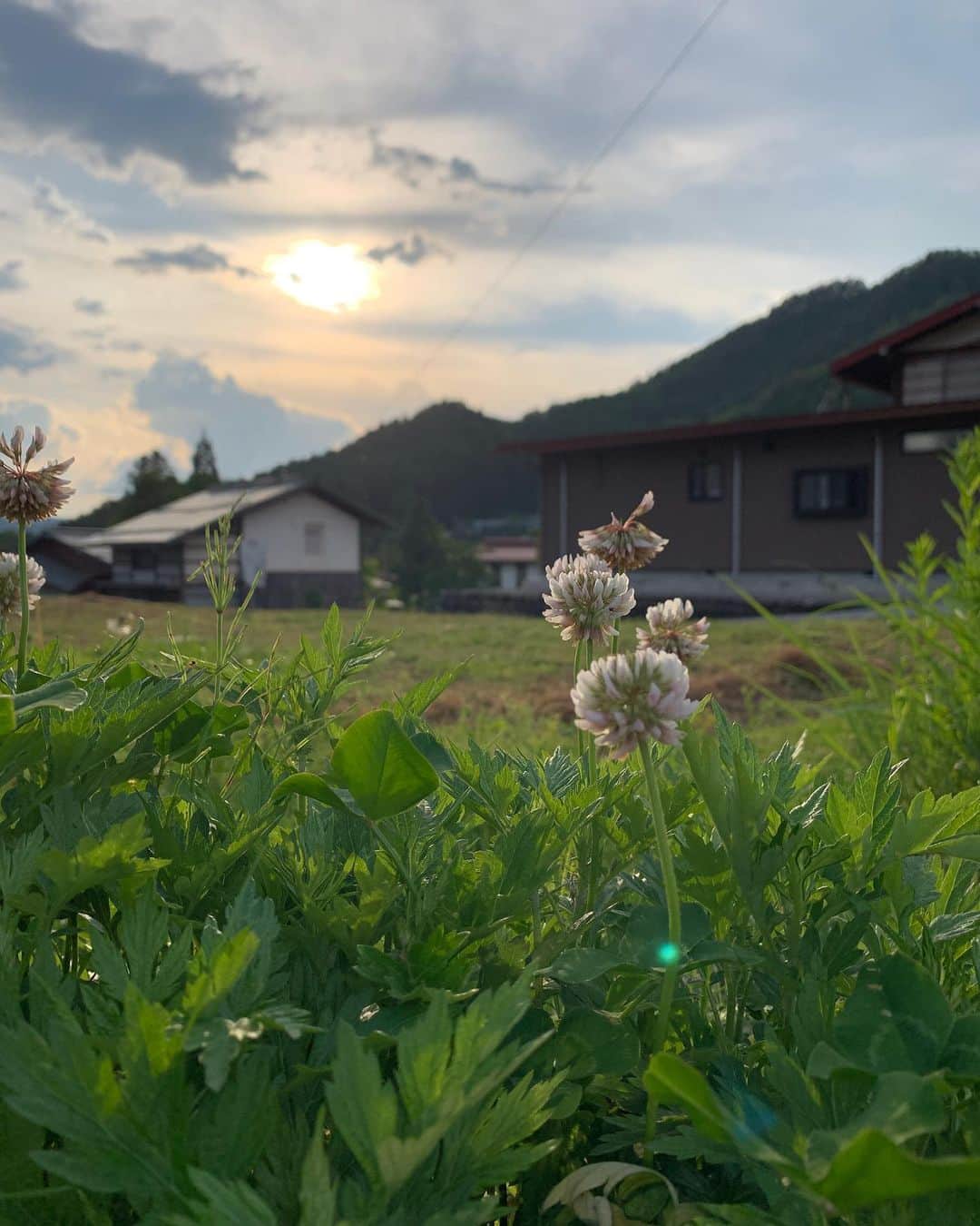 marinmatsuzakiのインスタグラム：「じいちゃんの49日も終わって、﻿ どこか心の中でスッとした気持ち😌﻿ ﻿ じいちゃんがいないのは﻿ もちろん寂しいんだけど、﻿ 残してくれたもの繋いでくれたことを大切に﻿ 家族みんな前に進んでます💓﻿ ﻿ ﻿ じいちゃんが大切にしてた庭の畑は﻿ ばあちゃん1人じゃできないからって﻿ 花が大好きなばあちゃんが寂しくないよう﻿ 花畑にすることに🥰﻿ ﻿ 花畑にしとる時に﻿ じいちゃんの大根出てきて涙出た😢﻿ ﻿ 松崎家の周りはじいちゃんの手の跡でいっぱいで﻿ 何をしててもじいちゃんを感じるんです☺️💕💕﻿ ﻿ ﻿ ばあちゃんも寂しいやろうけど﻿ なるべく寂しくないよう茉鈴も一緒にいたいし﻿ これからの家族のあり方も本当に考える…﻿ ﻿ ﻿ ﻿ ﻿ そんなこんなな49日間だったな、﻿ ﻿ ﻿ という日記みたいな更新🐈﻿ ﻿ ﻿ ﻿」