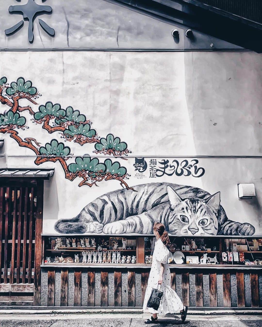 のインスタグラム：「𓃠⋆* . お茶漬けの帰り道🐾 大きな遭遇🐈 . . . . . . ぽわんとしたワンピでも しっかり引き締め完璧🙌🏻✨ @majicalsherry_lme  #マジカルシェリー　は お腹も足も全部ひとまわり以上 締まるからスゴイ‼︎ . . . . . .  #ig_japan#igersjp#streetphotography#kyoto#tokyocameraclub#写真の奏でる私の世界#写真が好き#写真好きな人と繋がりたい#写真が好きな人と繋がりたい#写真を撮るのが好きな人と繋がりたい#カメラ好きな人と繫がりたい#ファインダー越の風景#ファインダー越しの私の世界#東京カメラ部#錦市場#京都旅行#京都#猫壁#ねこすたぐらむ#猫好きさんと繋がりたい#京都グルメ#京都ランチ#京都」