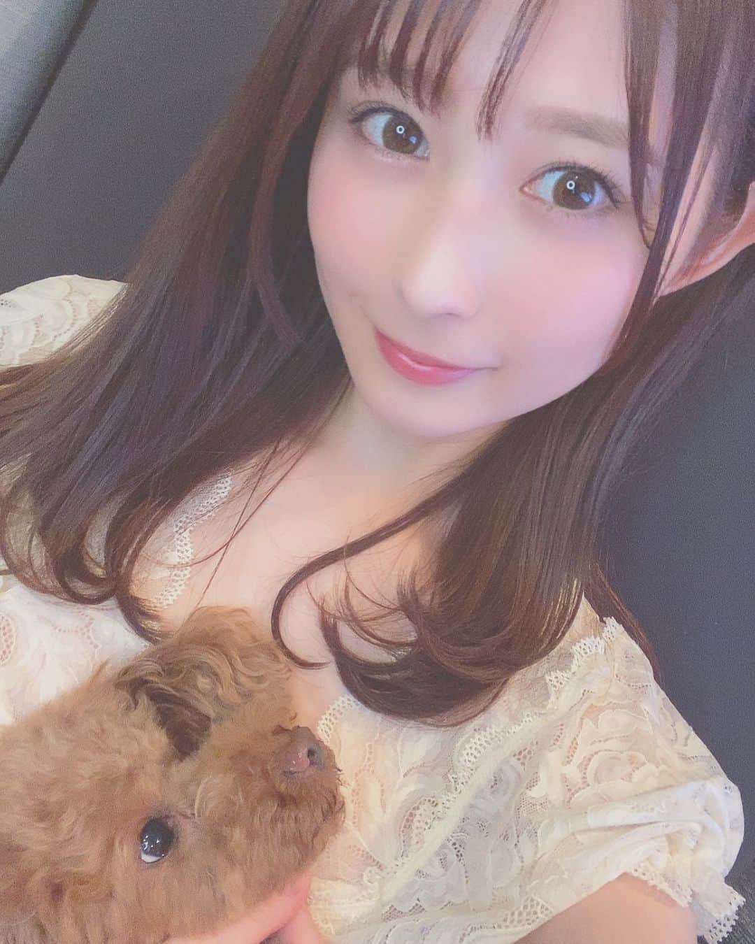 飛鳥りんのインスタグラム：「もうすぐミニーちゃんのお誕生日🥳❤️ 今年もお誕生日ケーキ注文したよ✨  #愛犬のいる生活 #イチナナライバー #飛鳥りん」
