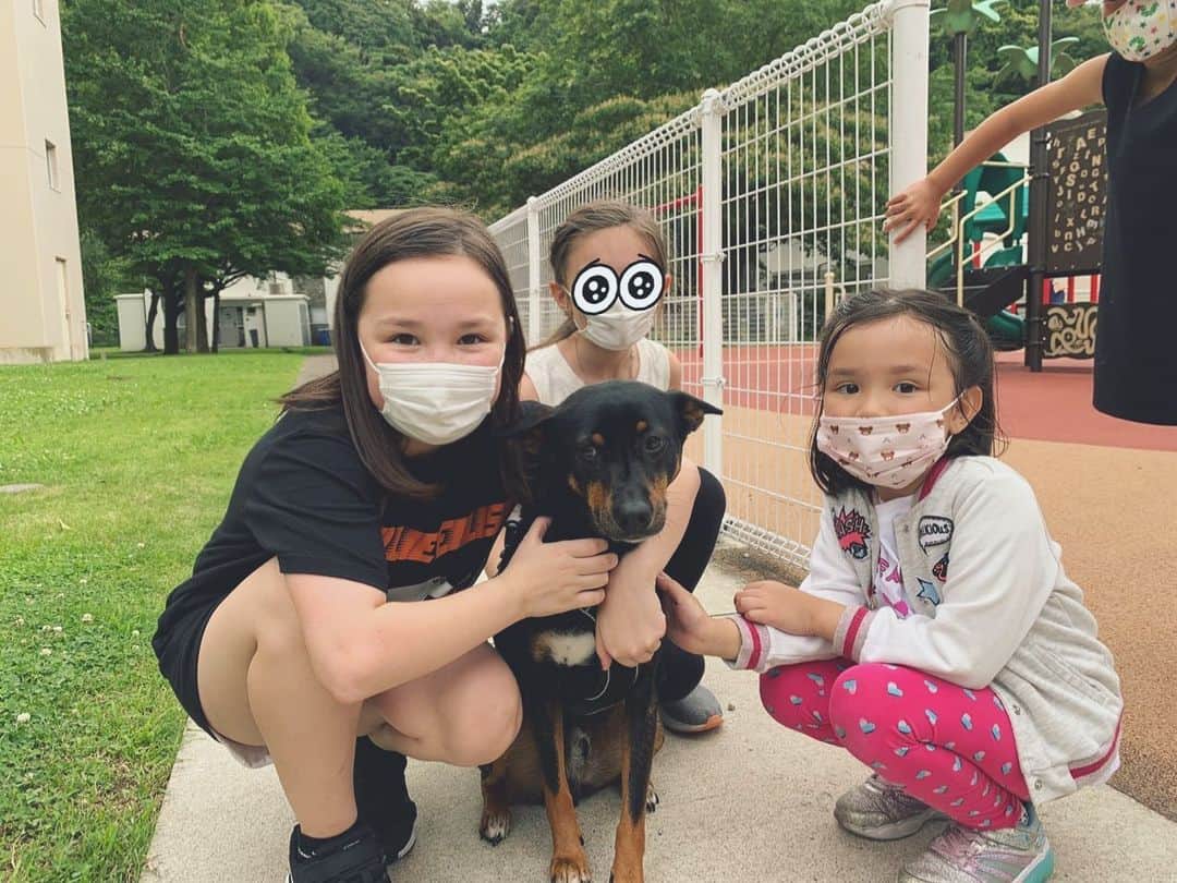 バイリンガル3兄妹のインスタグラム：「エマのお友達と彼女のワンちゃん  可愛すぎたよ〜〜。 自粛中 やたらワンちゃん猫ちゃんの画像や動画を見て過ごし、保護猫ちゃん情報をチェックしまくった日々。  うぅーーー かわうぃーよー  いつかワンちゃん猫ちゃんのいる生活をおくれたらいいな  #マスクからほっぺはみ出すぎ問題」