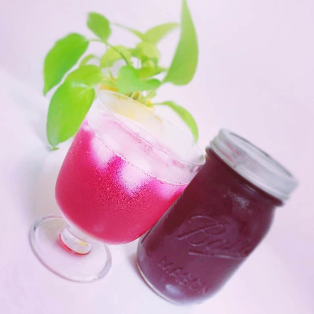 栗田萌のインスタグラム：「紫蘇ジュース💕 家族がお疲れのようだったので、クエン酸たっぷり入れて作りました🤗🌺 喜んでもらえて良かった〜🍹✨ 今の私の原動力は、間違いなく姉！！！笑 自分のためには手間かかるし絶対作らないけれど、家族のためならちょっぴり頑張れるのです🥳 #紫蘇ジュース #炭酸割り 🌱 自他ともに認める #シスコン 🥰笑」
