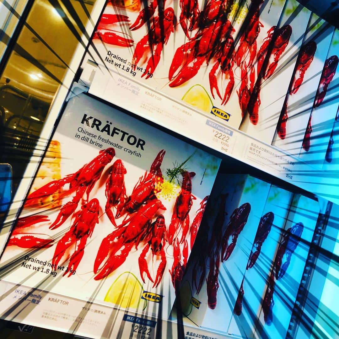森井ユカさんのインスタグラム写真 - (森井ユカInstagram)「‪IKEAにザリガニ到来〜〜‼️ 自然解凍してそのままパクッと、let'sザリガニパーティ！‬ ‪#IKEA原宿　#IKEAのザリガニ　#ザリガニ‬」6月24日 21時01分 - yukamorii