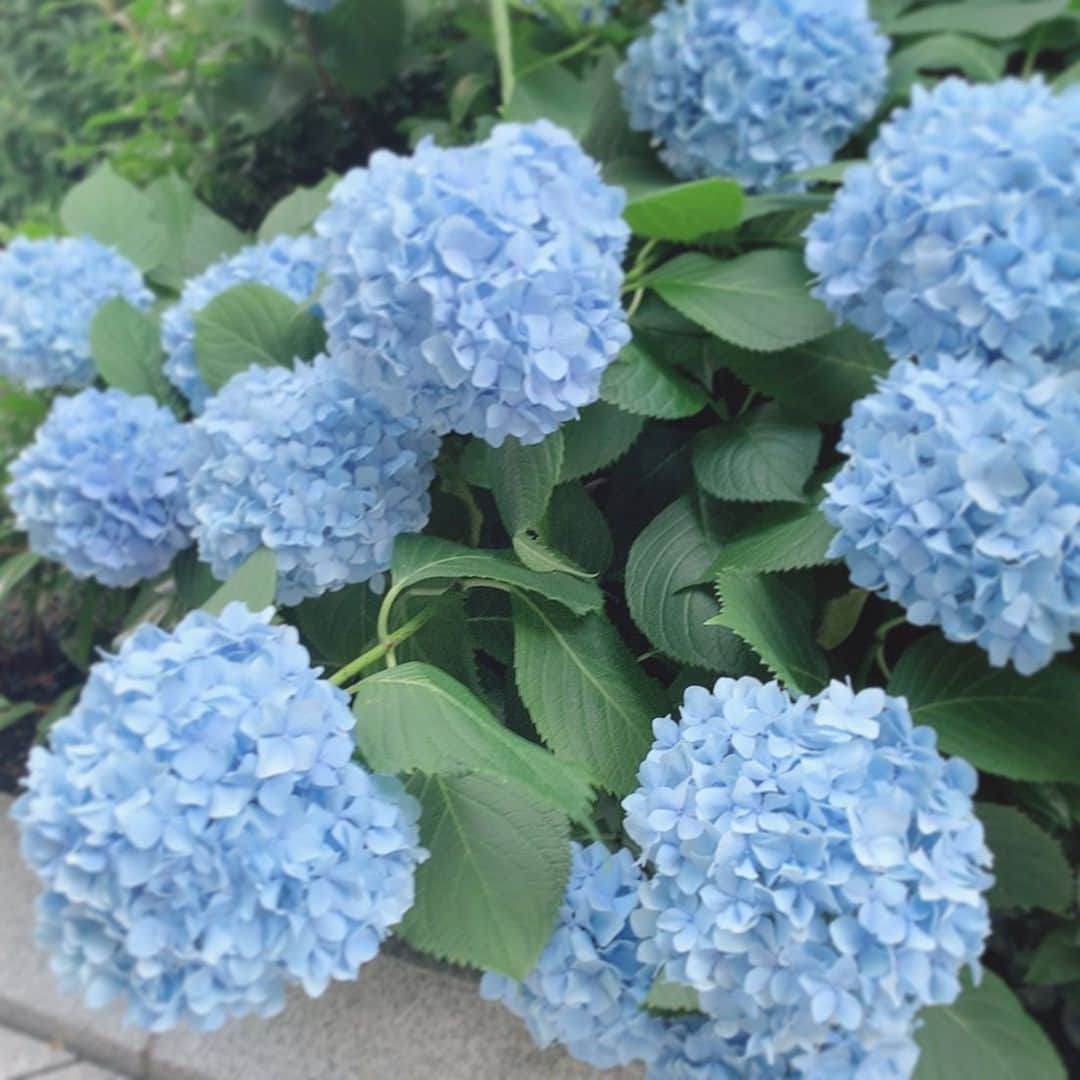 MAYUMIのグルメインスタ