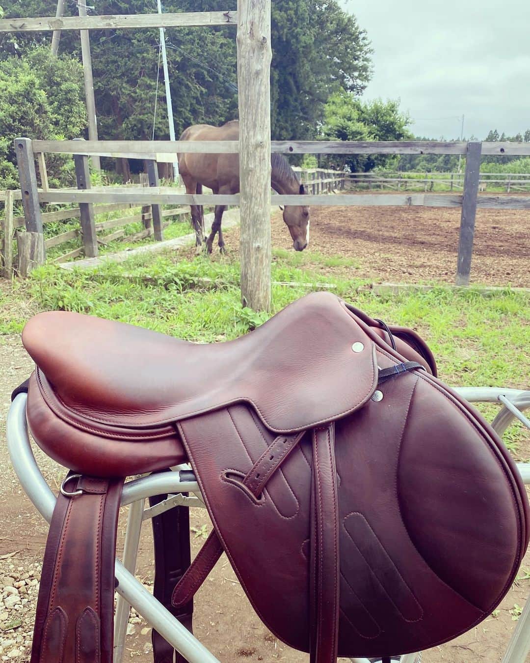 白澤貴子さんのインスタグラム写真 - (白澤貴子Instagram)「My Coco🐴& My saddle by Hermes🤍  パリでオーダーしてからもう何年も経っちゃったけど、毎回私なりに丁寧にお手入れして、味わいも増してきた大切な鞍。  驚くほど柔らかな革なので乗り終わると必ず傷がついているのに、きちんと洗って保湿すれば何事もなかったかのように綺麗に復元する。  革の手入れの愉しさを知ったのはこの鞍のおかげ。 Cocoとの2ショット、私的には最高の写真🤎  #hermessaddle #hermès_et_tahco」6月24日 21時22分 - takakoshirasawa