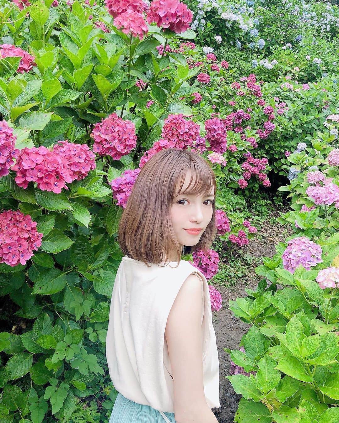 三田寺円のインスタグラム：「紫陽花綺麗だった💐 #あじさい #紫陽花 #梅雨」