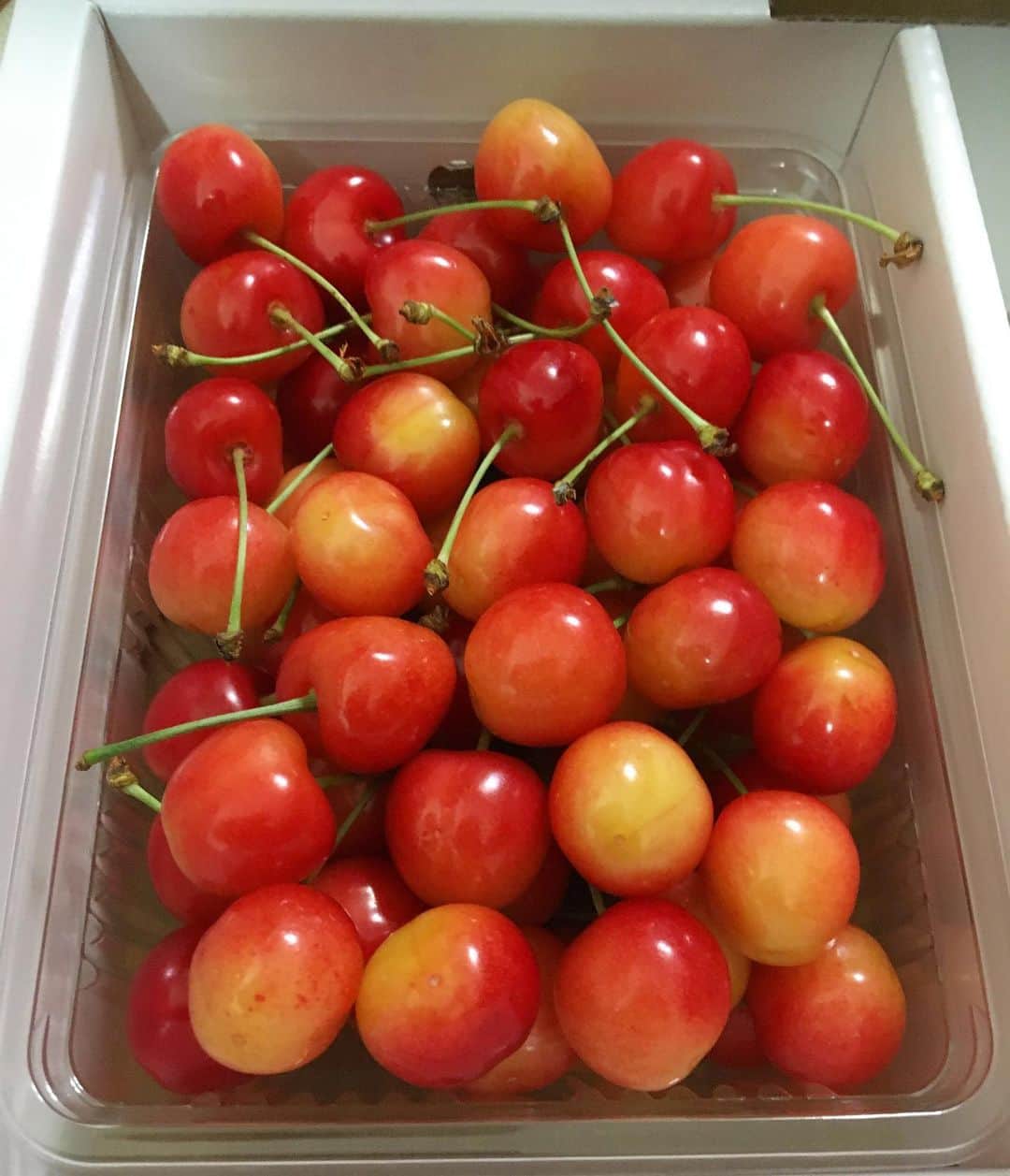 斉藤祥太のインスタグラム：「愛してるの響きだけで 強くなれる気がしたよ。 #山形県産 #金山町 #佐藤錦 #スピッツ  #チェリー」
