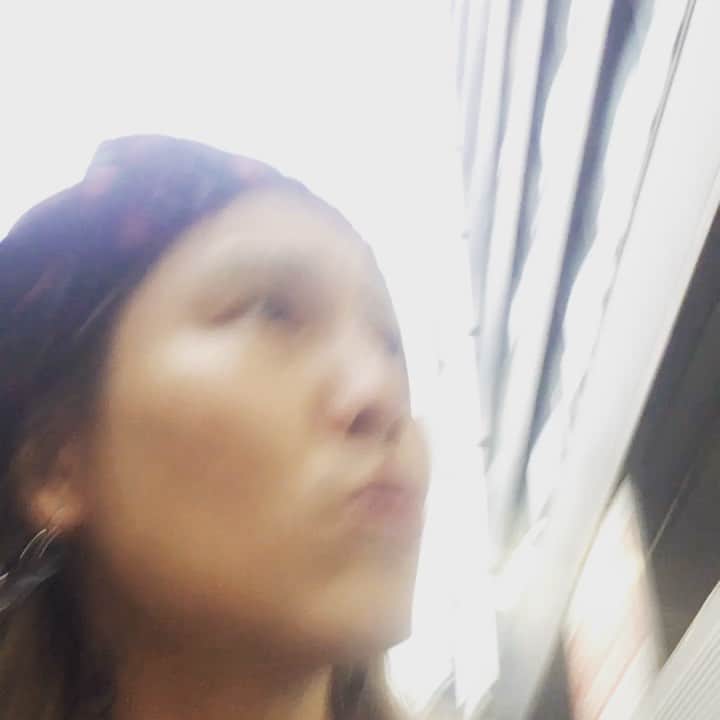 池川寛希のインスタグラム：「まいど（MAIDO） の意味 ブックマークへ登録 出典：デジタル大辞泉（小学館） * 	意味 * 	例文 * 	慣用句  まいど【大阪スラング】 の解説  大阪の国語。万葉仮名で書かれた古代日本語からの文献をもつ。大阪のロックバンドCrossfaithのボーカルKenta KoieはMy loveの発音でまいどと発する。また大阪のハードコアバンドNUMBERNINEのボーカルKaiMaidoという人物も存在している。こんにちは、元気してるかい？の意。」