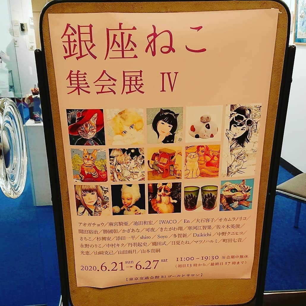 置鮎龍太郎さんのインスタグラム写真 - (置鮎龍太郎Instagram)「有楽町 東京交通会館ゴールドサロンにて、  銀座 ねこ集会展Ⅳ  可夜さん  @kaya_crack  の猫切子 をゲット♪  にゃんこマイクロファイバークロスも可愛い(^^ゞ」6月24日 22時03分 - chikichikiko