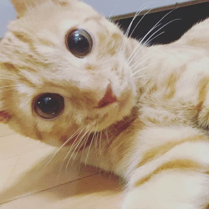 木下ひなこのインスタグラム