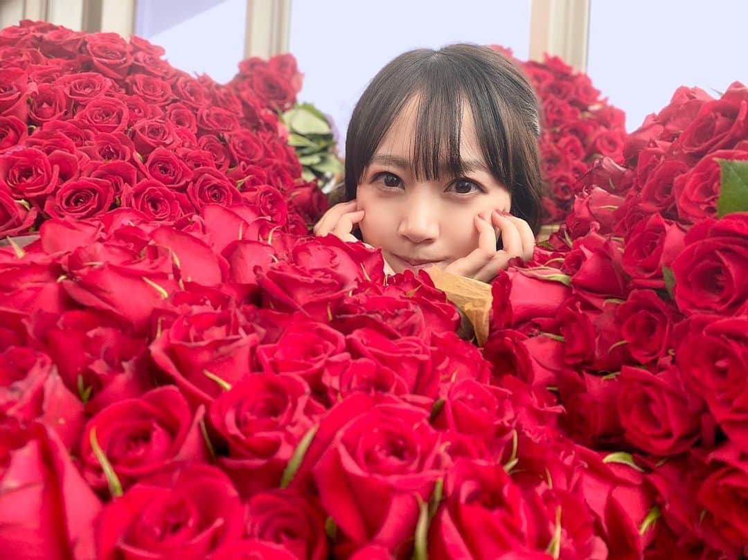 浜田翔子さんのインスタグラム写真 - (浜田翔子Instagram)「素敵なプレゼント バラ1001本をいただきました🌹🌹🌹 幸せです😳」6月24日 22時16分 - shoko_hamada