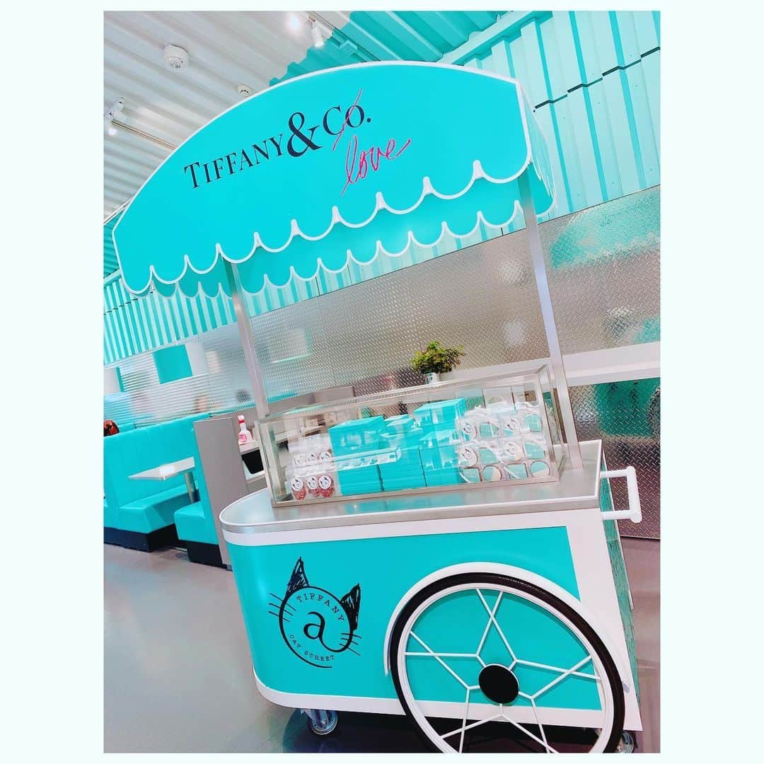 湯浅かえでのインスタグラム：「HappyBirthday🎂❤️ ずっと一緒に行きたかったの。  #tiffany  #キャットストリートカフェ  #tiffanycafe  #ティファニーカフェ  #tiffanyandco」