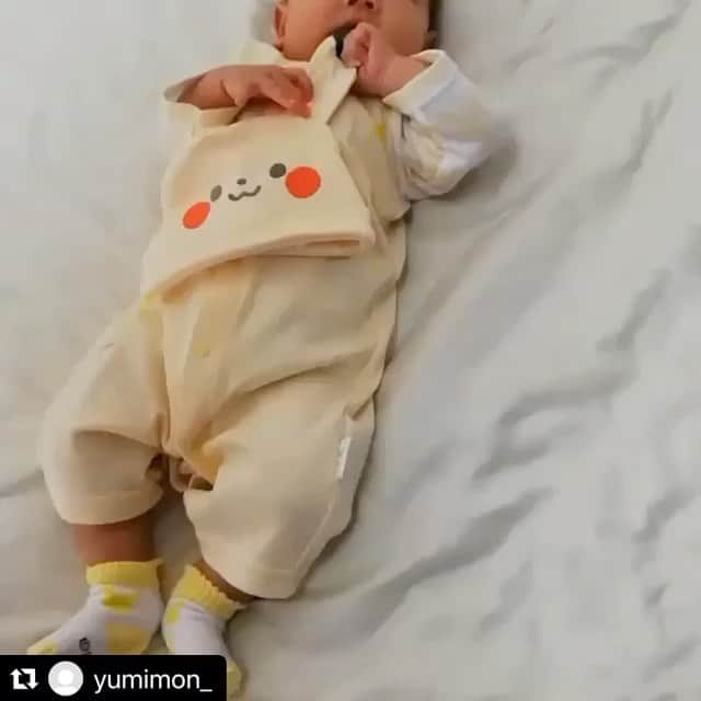 犬印本舗【公式】のインスタグラム