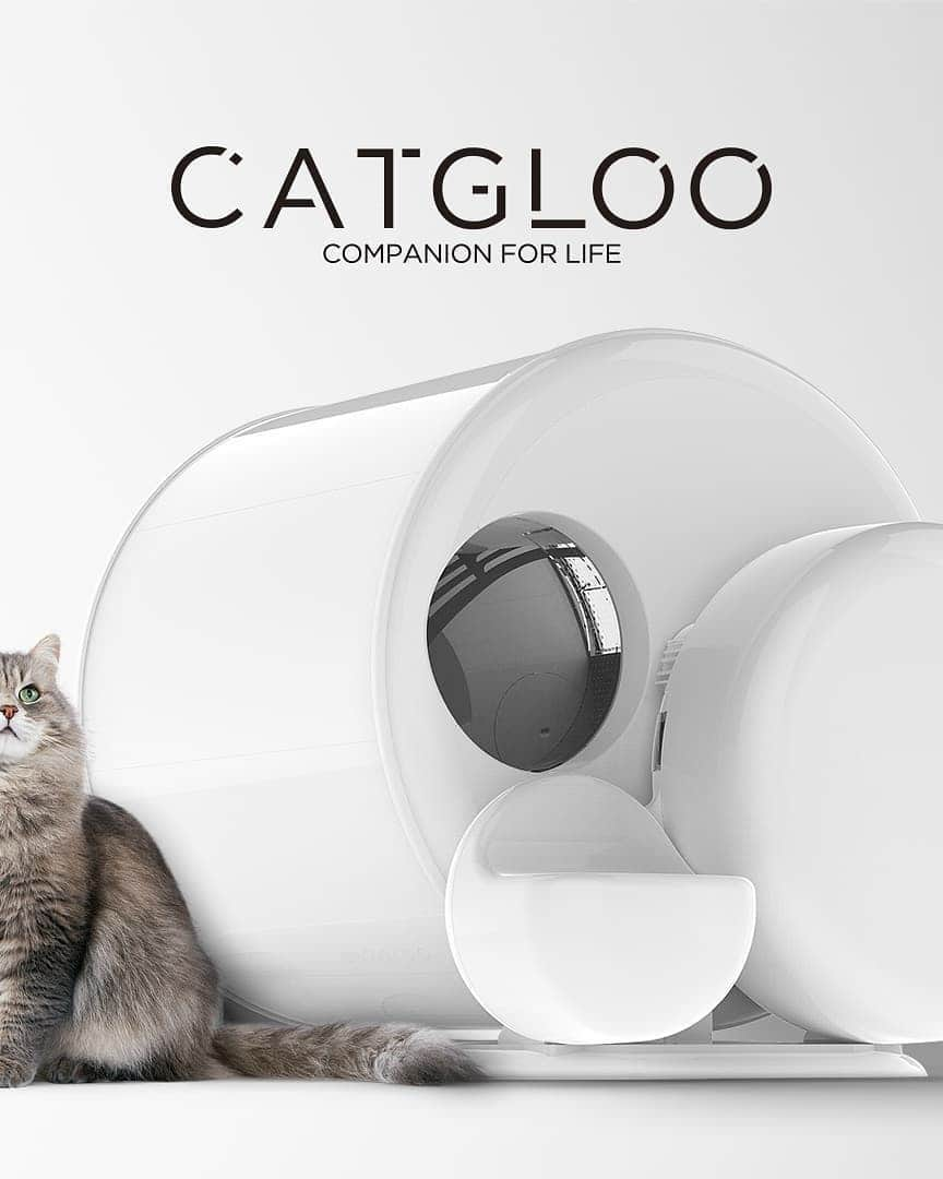 Aww Clubさんのインスタグラム写真 - (Aww ClubInstagram)「A pawfect solution for your feline friend - Visit indiegogo.com and search “catgloo” - Brand  CATGLOO Product  CAT “GLAM” LOO-Automatic cat litter box - #meowed #Catgloo #musthave #litterbox #awesomecattoilet #automatic #nomorescooping #automaticlitterbox #litterrobot #ZeroOdor #SelfCleaning #bymeowed #ad」6月24日 23時04分 - meowed