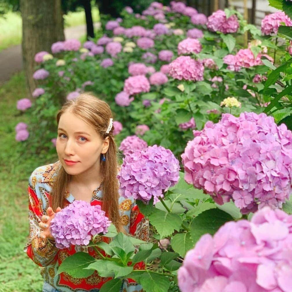 アシヤのグルメインスタ