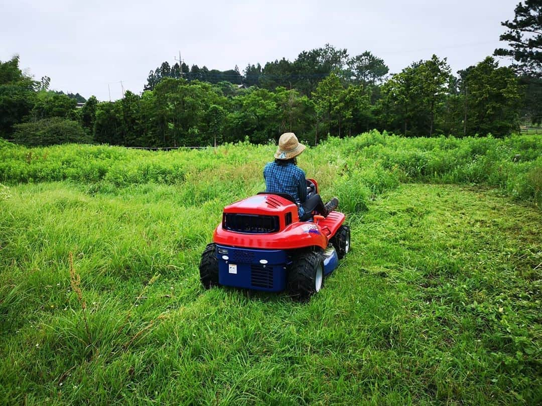 佐藤藍子さんのインスタグラム写真 - (佐藤藍子Instagram)「皆様、おこんばんみーです🍀  わーい！！ 念願の、乗用の草刈機を購入しちゃいました！！🚛 地面がデコボコしていたりしていても、何の不安もなし！！ さっすが4WD！！ MARUYAMA、株式会社丸山製作所の草刈機です  毎日でも乗りたい😆  草刈をすると、虫ｻﾝが飛ぶみたいで、ツバメｻﾝ達が子供達の為に飛び回っていました  #乗用草刈機#丸山製作所 #MARUYAMA #草刈り #草刈り機 #ツバメ#佐藤藍子 #aikosato」6月24日 23時14分 - sato_aiko_official