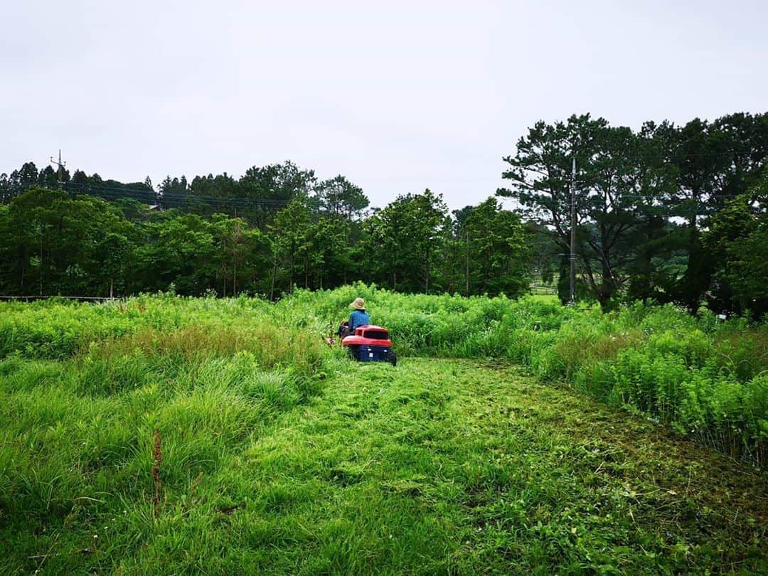佐藤藍子さんのインスタグラム写真 - (佐藤藍子Instagram)「皆様、おこんばんみーです🍀  わーい！！ 念願の、乗用の草刈機を購入しちゃいました！！🚛 地面がデコボコしていたりしていても、何の不安もなし！！ さっすが4WD！！ MARUYAMA、株式会社丸山製作所の草刈機です  毎日でも乗りたい😆  草刈をすると、虫ｻﾝが飛ぶみたいで、ツバメｻﾝ達が子供達の為に飛び回っていました  #乗用草刈機#丸山製作所 #MARUYAMA #草刈り #草刈り機 #ツバメ#佐藤藍子 #aikosato」6月24日 23時14分 - sato_aiko_official
