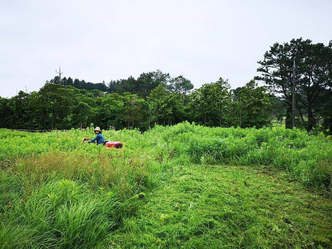 佐藤藍子さんのインスタグラム写真 - (佐藤藍子Instagram)「皆様、おこんばんみーです🍀  わーい！！ 念願の、乗用の草刈機を購入しちゃいました！！🚛 地面がデコボコしていたりしていても、何の不安もなし！！ さっすが4WD！！ MARUYAMA、株式会社丸山製作所の草刈機です  毎日でも乗りたい😆  草刈をすると、虫ｻﾝが飛ぶみたいで、ツバメｻﾝ達が子供達の為に飛び回っていました  #乗用草刈機#丸山製作所 #MARUYAMA #草刈り #草刈り機 #ツバメ#佐藤藍子 #aikosato」6月24日 23時14分 - sato_aiko_official