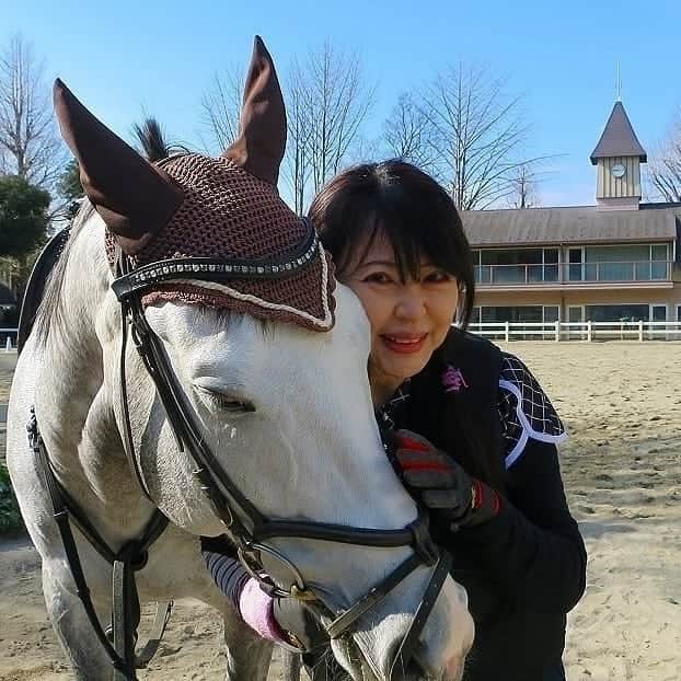 宇月田麻裕さんのインスタグラム写真 - (宇月田麻裕Instagram)「フジテレビ「うまハピ」さんで取り上げていただいた 「アドマイヤコジーン」　 そのアドマイヤコジーン産駒の　ホワイトアルバム。 この子に乗っていると、コジーンの背中に乗っているかのよう。 最初に騎乗した時の感動は忘れない！ 乗馬をしていると、大好きだった馬の産駒に乗れるという喜びもあります。醍醐味！ 　私的に倶楽部で一番人懐っこい。 「ほわー」と勝手につけたあだ名で呼ぶと来てくれます❤️ 「ほわーペロペロ」というとペロペロしてくれて、可愛い🐴❤️ #フジテレビ #アドマイヤコジーン #うまハピ #ホワイトアルバム」6月25日 0時17分 - mahiro_utsukita