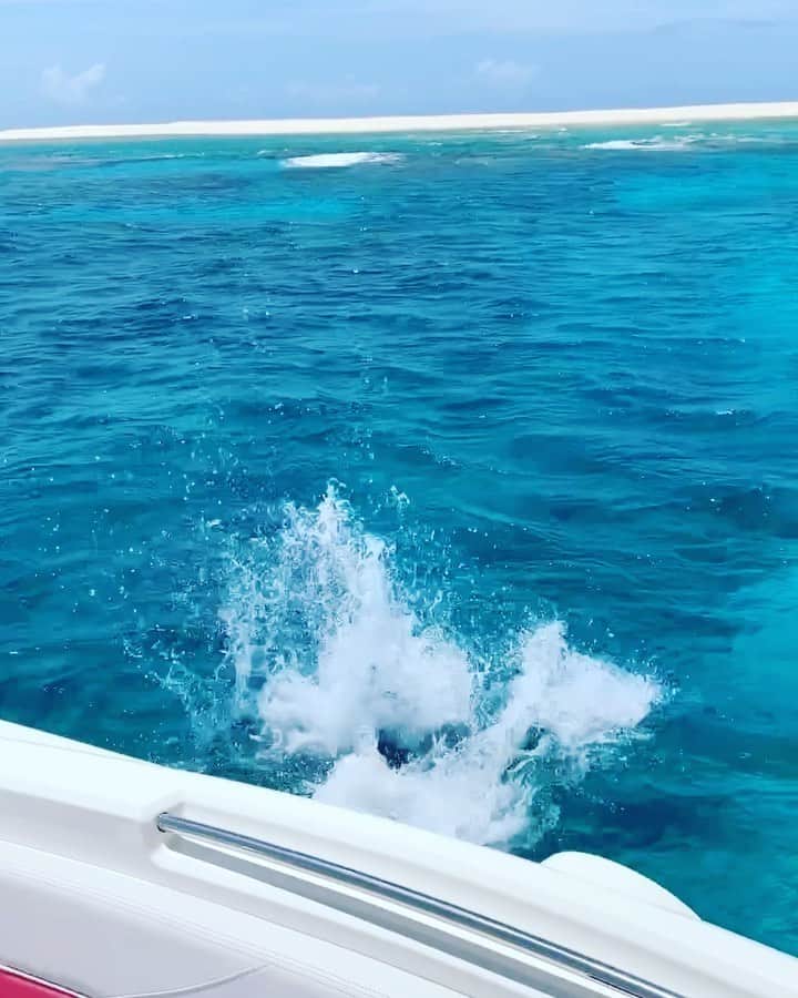 福本幸子のインスタグラム