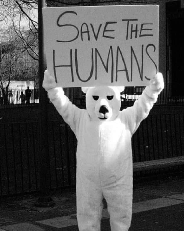ケイティ・ロッツさんのインスタグラム写真 - (ケイティ・ロッツInstagram)「#2020  Polar bears be like...」6月25日 1時03分 - caitylotz