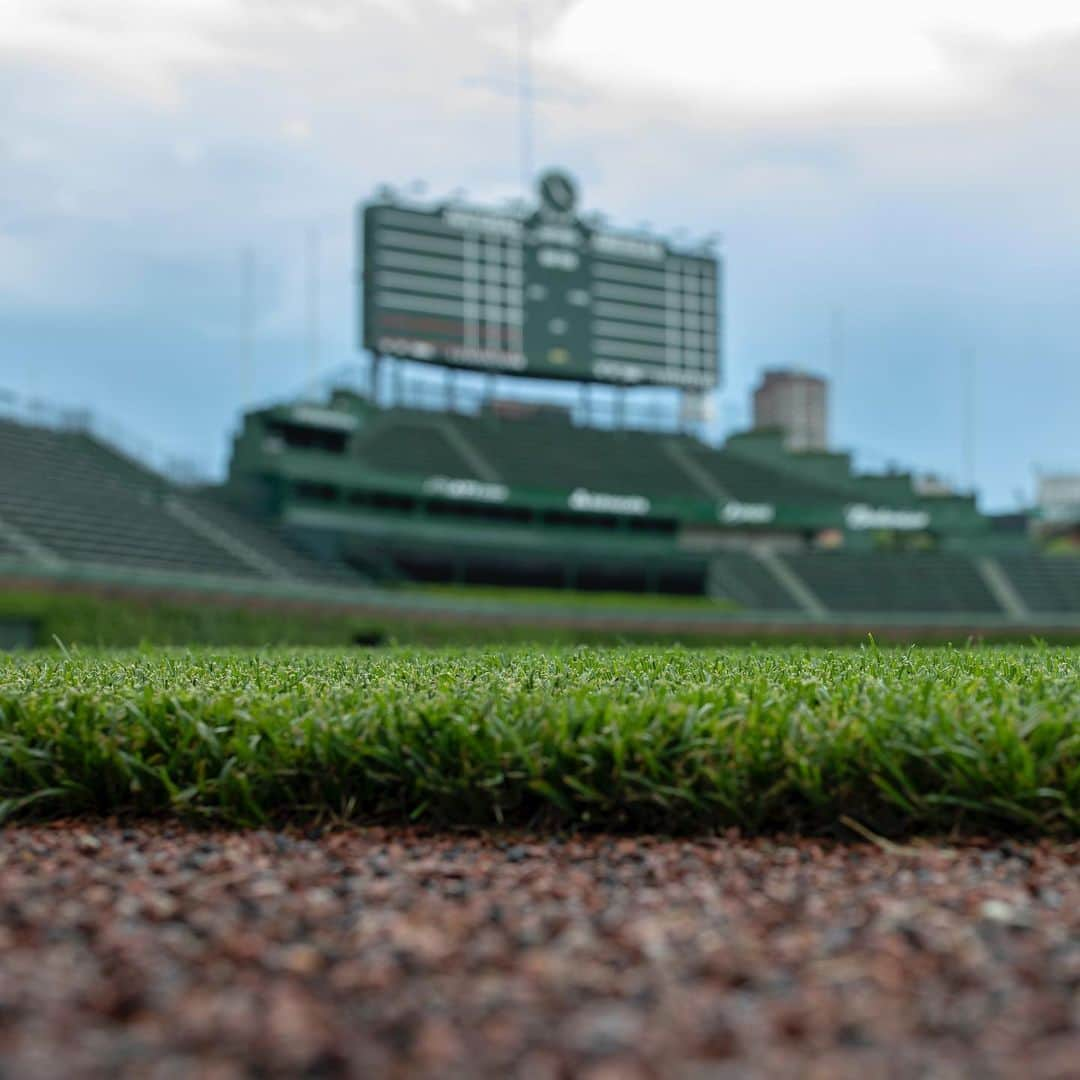 シカゴ・カブスさんのインスタグラム写真 - (シカゴ・カブスInstagram)「😍」6月25日 1時14分 - cubs