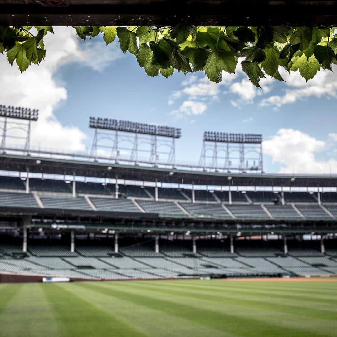 シカゴ・カブスさんのインスタグラム写真 - (シカゴ・カブスInstagram)「😍」6月25日 1時14分 - cubs