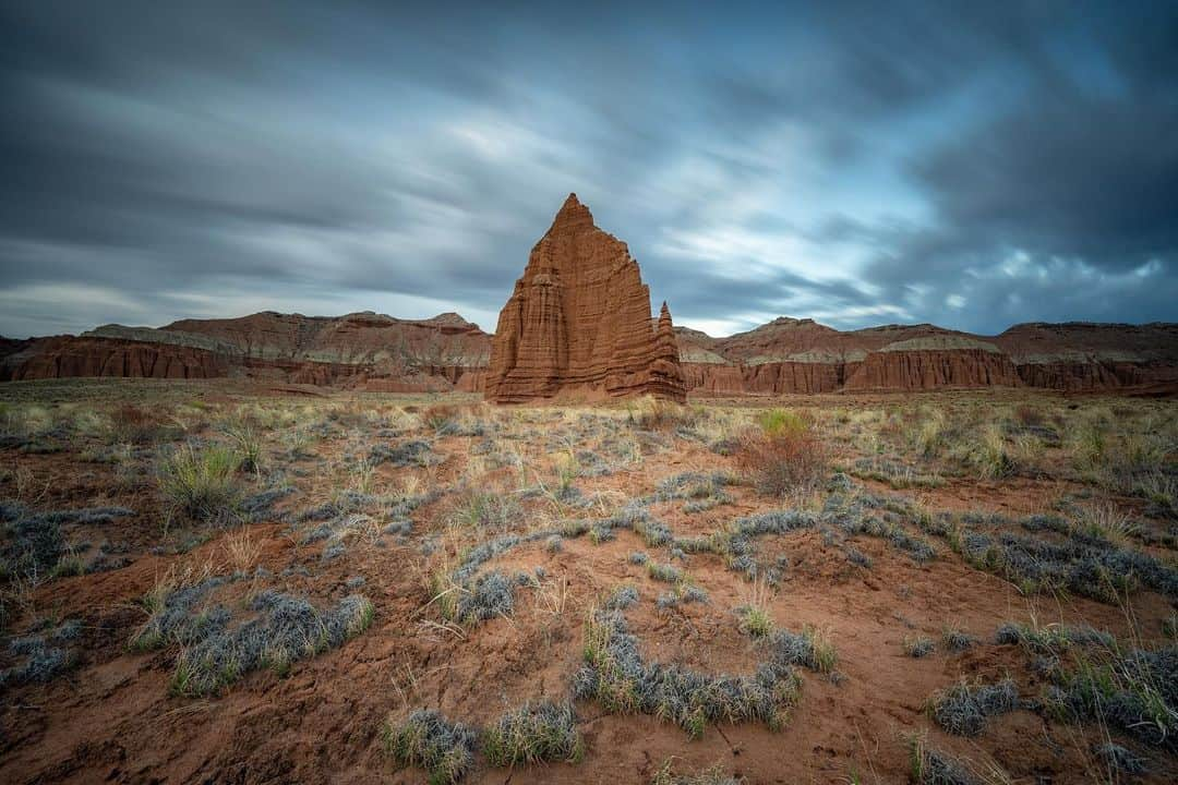 アンジー・ペインのインスタグラム：「Scenes from Capitol Reef National Park. I visited this park in May for a project for @visitutah. It was right around the time of the park’s reopening from covid closures, and I arrived at Temple of the Moon before sunrise. I had never been there before, and as the sky lightened and the scene was slowly revealed, I was overwhelmed by that familiar excitement of exploring a new space from behind the lens. Little wildflowers were beginning to sprout from the dry earth, which of course felt very metaphorical at a time when the world was slowly emerging from quarantine. I’m so excited to be heading back to Utah today for some more exploration of a couple more of the Mighty Five. • • • #macro #macrophotography #landscape #landscapephotography」