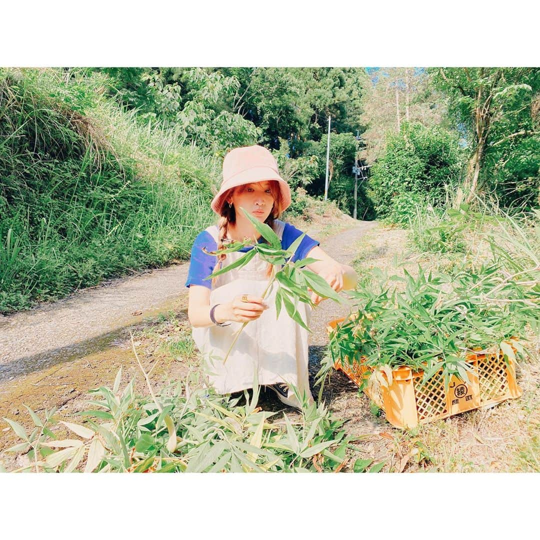 紗栄子さんのインスタグラム写真 - (紗栄子Instagram)「昨日は、新しく作るプロダクト用の植物の収穫を🌿✨ ﻿ ﻿ この後に森田敦子先生 @atsuko1705 の研究室に送って、機能性成分を調べてサンプル作成に入ります👍🏻✨ ﻿ ﻿ もともと私が収穫は葉っぱだけと伝達ミスしていたらしく、シャベルを持ってきていなかった北野さんちのまーくんが、根っこの部分の収穫をクワで頑張ってくれました🥺🤲🏻✨👩‍🌾✨ ﻿ ﻿ まーくんありがとう🤲🏻💖🌿🥕﻿ #宮崎#綾﻿#綾町自然生態系農業」6月25日 11時13分 - saekoofficial