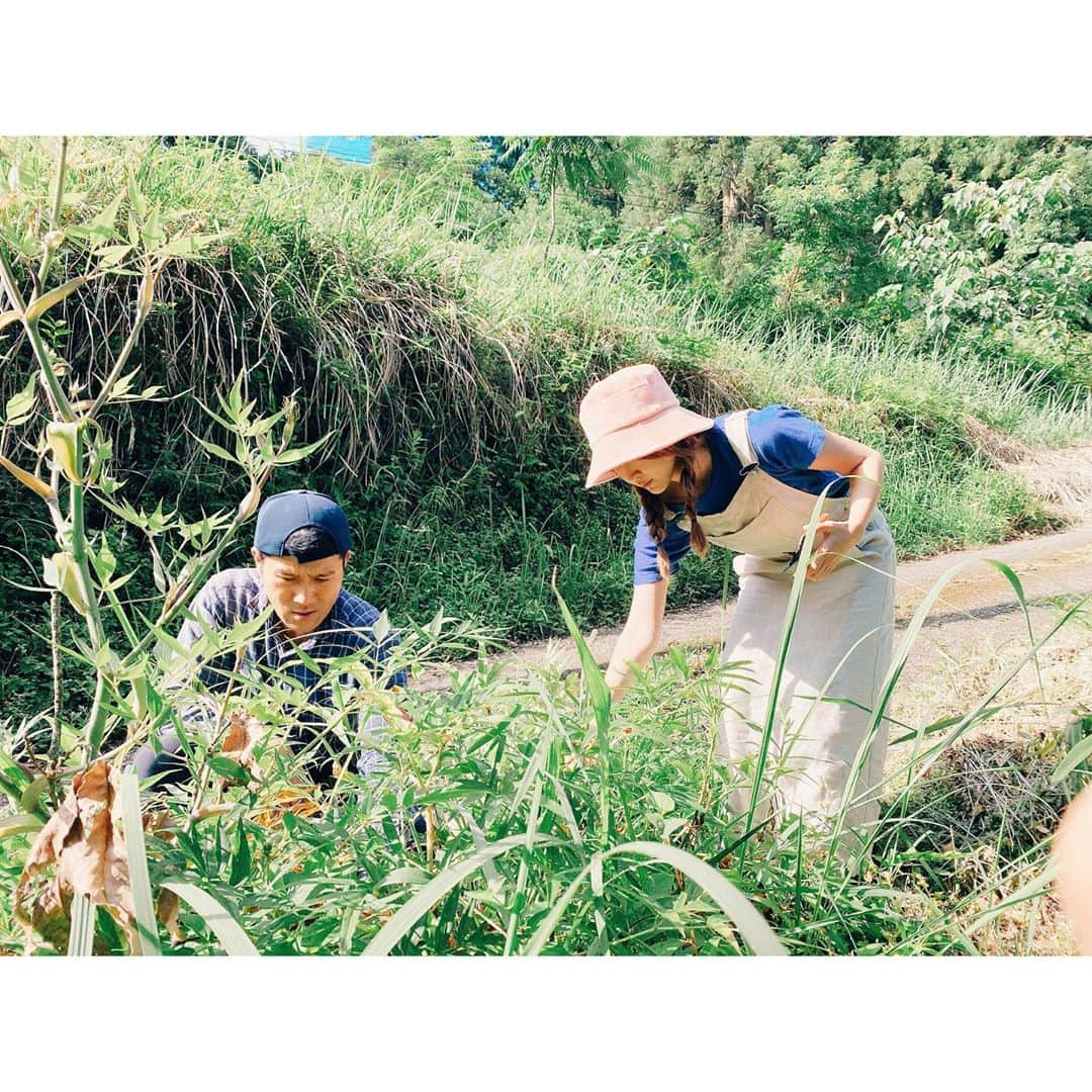 紗栄子さんのインスタグラム写真 - (紗栄子Instagram)「昨日は、新しく作るプロダクト用の植物の収穫を🌿✨ ﻿ ﻿ この後に森田敦子先生 @atsuko1705 の研究室に送って、機能性成分を調べてサンプル作成に入ります👍🏻✨ ﻿ ﻿ もともと私が収穫は葉っぱだけと伝達ミスしていたらしく、シャベルを持ってきていなかった北野さんちのまーくんが、根っこの部分の収穫をクワで頑張ってくれました🥺🤲🏻✨👩‍🌾✨ ﻿ ﻿ まーくんありがとう🤲🏻💖🌿🥕﻿ #宮崎#綾﻿#綾町自然生態系農業」6月25日 11時13分 - saekoofficial