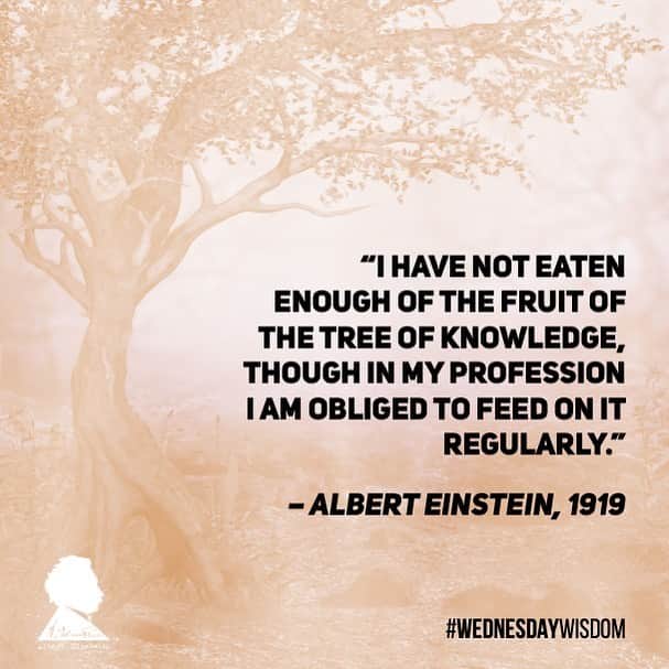 アルベルト・アインシュタインさんのインスタグラム写真 - (アルベルト・アインシュタインInstagram)「#WednesdayWisdom: “I have not eaten enough of the fruit of the Tree of Knowledge, though in my profession I am obliged to feed on it regularly.” – Albert Einstein, 1919」6月25日 4時08分 - alberteinstein
