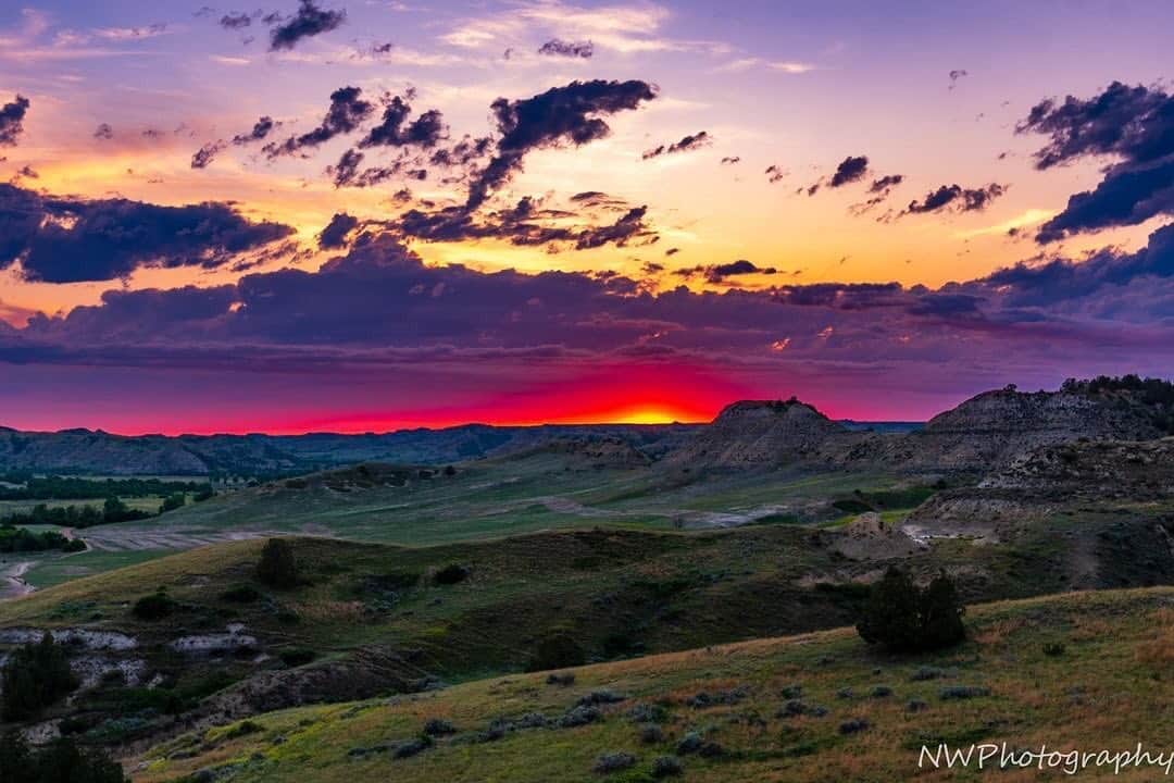 Ricoh Imagingのインスタグラム：「A gorgeous image capture by our #teampentax fan @nw_photography_101 taken at Theodore Roosevelt National Park.」