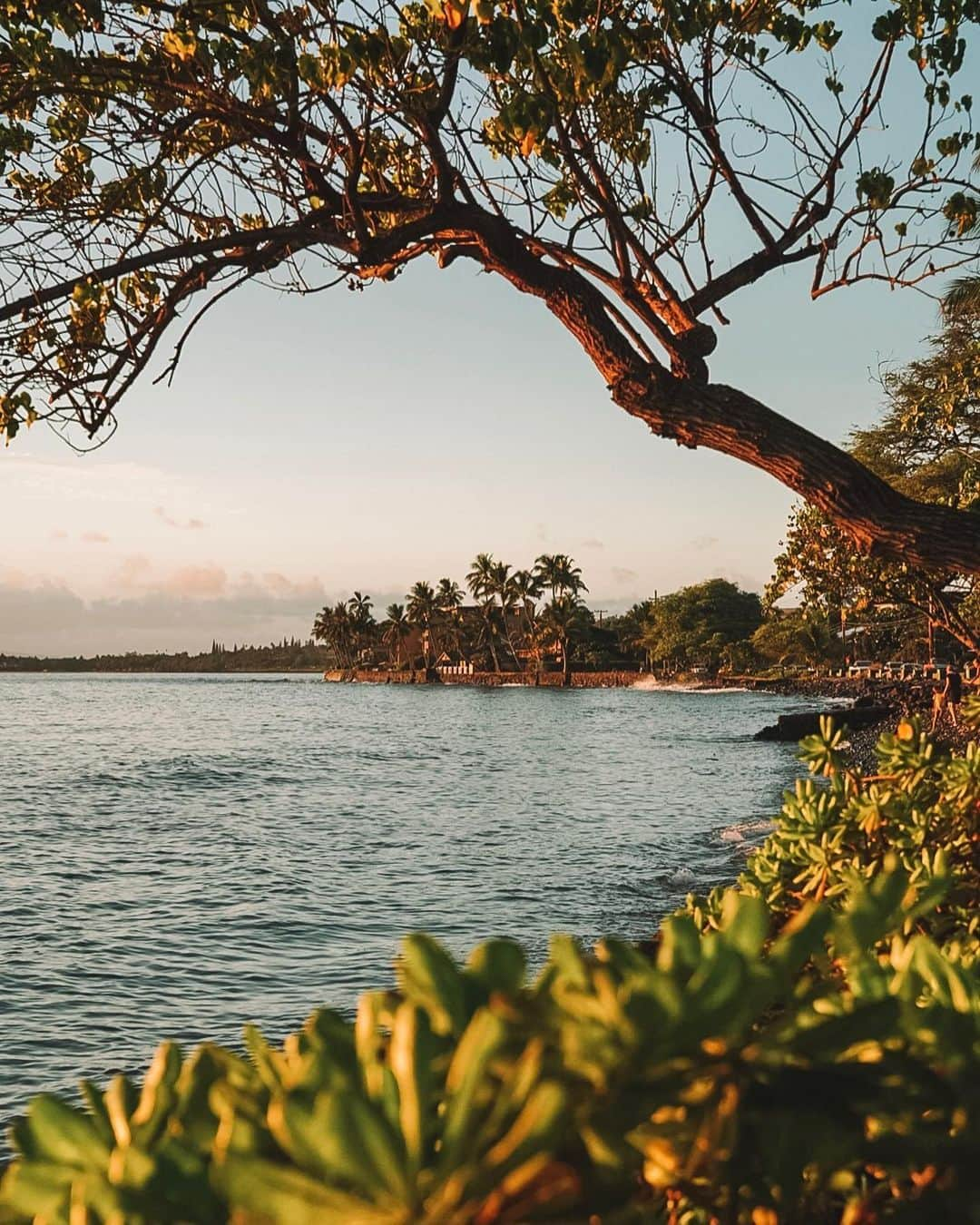 ハワイアン航空さんのインスタグラム写真 - (ハワイアン航空Instagram)「"After spending so much time inside over the past few months, I was craving a change of scenery. And with the inter-island quarantine lifting, I decided to visit my favorite island: Maui. 😍 All of our Islands are beautiful in their own ways, but there's just something special about hopping to another island to experience something similar, yet different."⠀ ⠀ We'd love to share more of your island-hopping stories! Use #ReconnectingHawaii for a chance to be featured. 💜」6月25日 6時00分 - hawaiianairlines