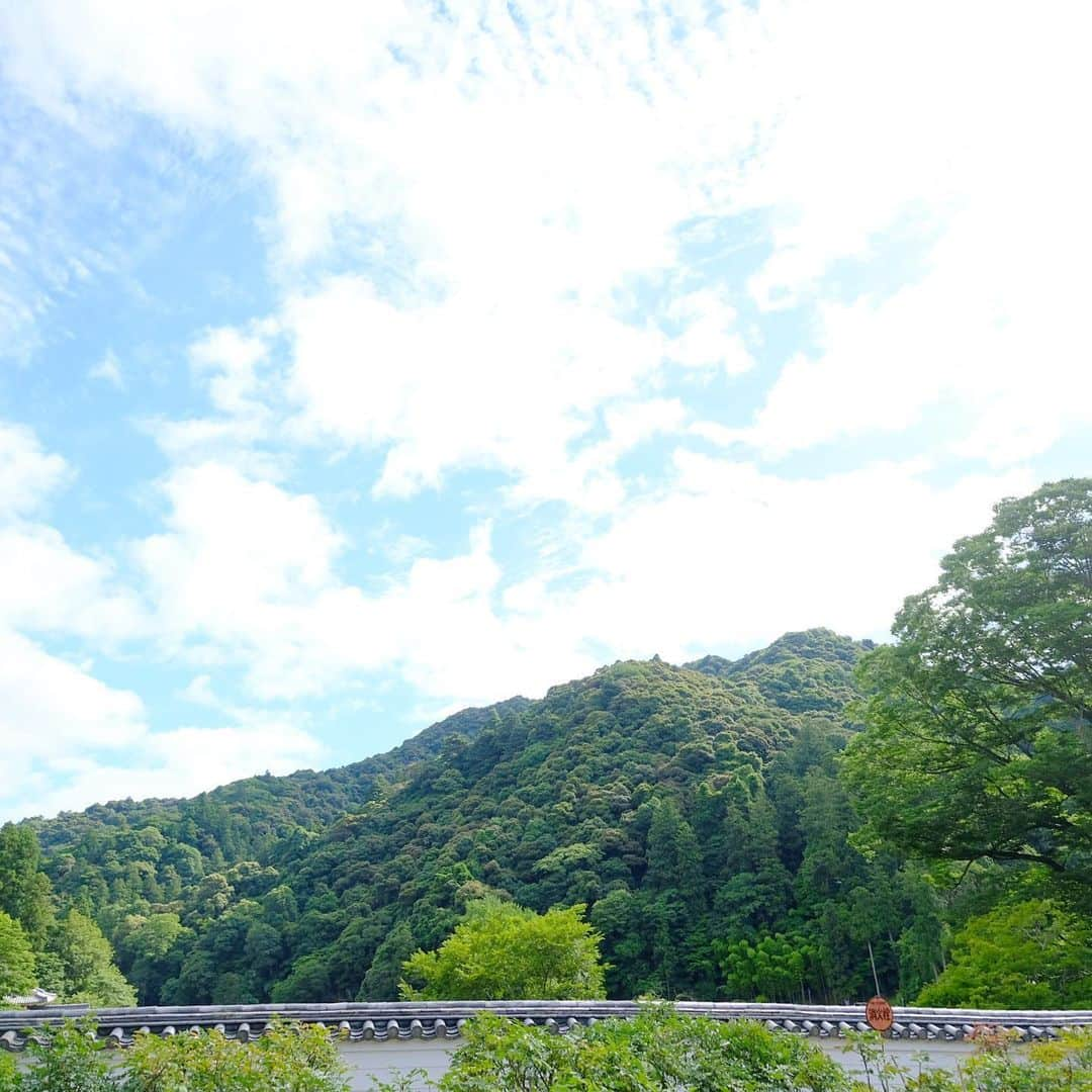 奈良 長谷寺 / nara hasederaさんのインスタグラム写真 - (奈良 長谷寺 / nara hasederaInstagram)「おはようございます、#紫陽花、満開  Good morning!  #Hydrangea is a good time.  #長谷寺 ##長谷寺 #奈良長谷寺 #総本山長谷寺 #花の御寺 #奈良 #hasedera #hasederatemple #temple #japan #japanesetraditional #pilgrimage #nara #tourism #sightseeing #japanesetemple #西国 #西国三十三所 #霊場 #巡礼 #四寺巡礼 #長谷寺が好き」6月25日 8時39分 - hase_dera