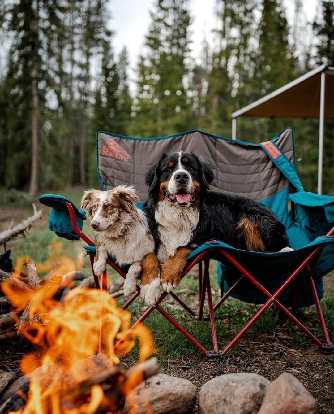 ケルティのインスタグラム