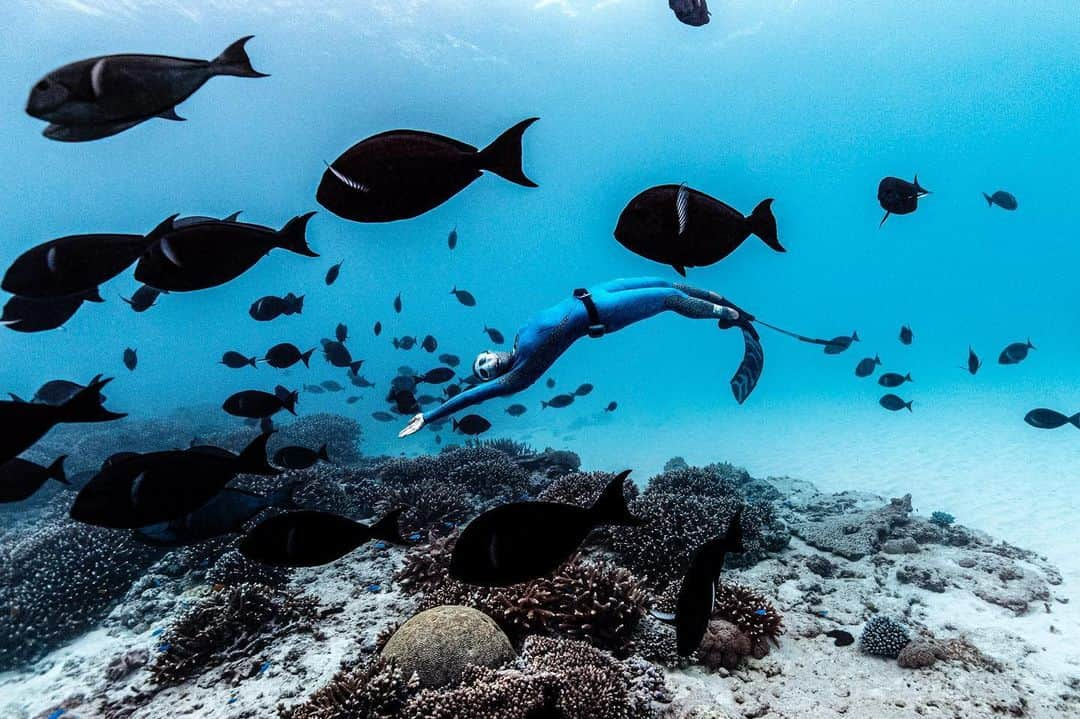 二木あいさんのインスタグラム写真 - (二木あいInstagram)「Photographed @darrenjew ﻿ ﻿ #underwater #freediving #underwaterworld #onebreath #zen #tranquility #health #love #happiness #smile #life #calmness #mindfulness #communication #mind #serenity #beauty #oneness #interaction #nature #ocean #earth #coexist #connection #message #blancpainoceancommitment #mymizu #aifutaki」6月25日 9時01分 - aifutaki