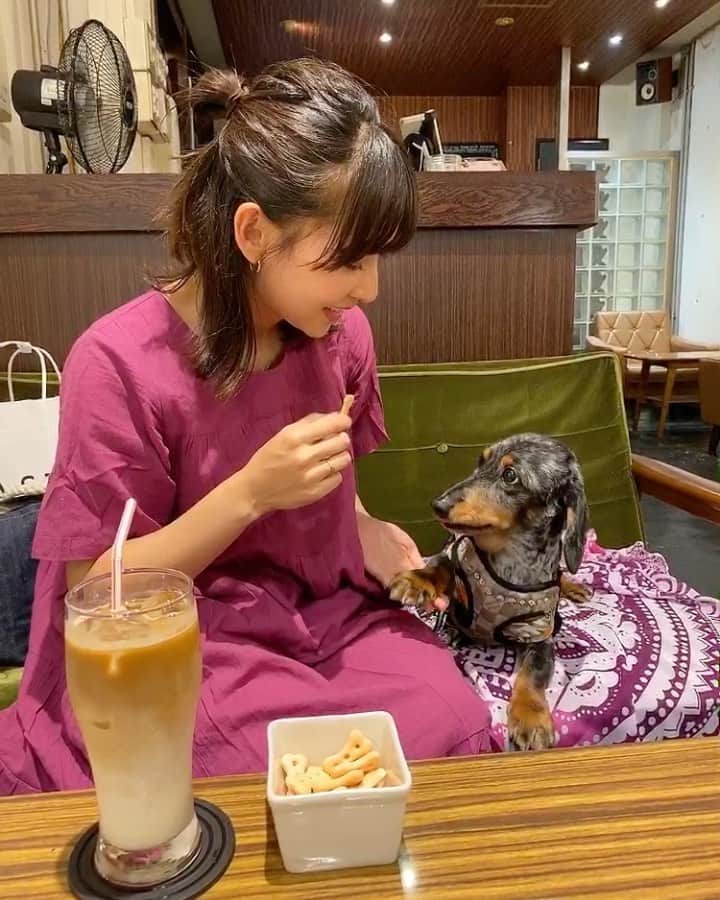 阪本智子のグルメインスタ