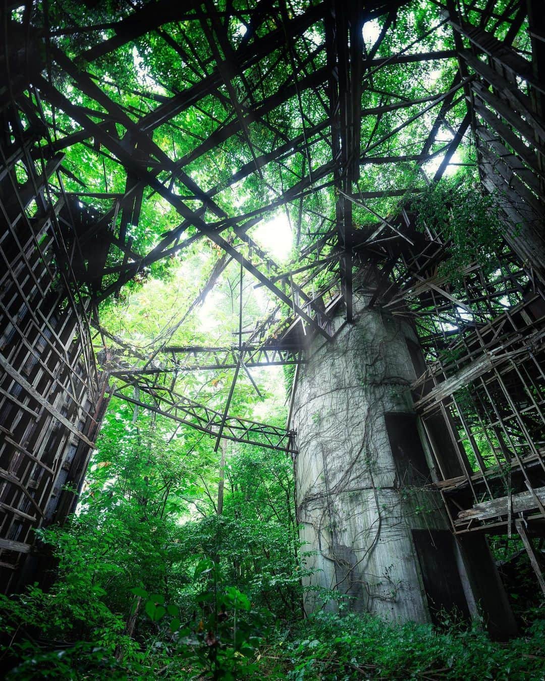 のインスタグラム：「continuously 𓆲 𓆲 𓆲 #abandonedafterdark #urbex_supreme #desertedplaces #abandon_seekers_ #urbex_regards #welcometwoneverland #kings_abandoned #abandonedcentral #the_urbex_institute #renegade_abandoned #rsa_preciousjunk #glitz_n_grime #gotrespassing #savethedecay #bandorebelz #abandoned_addiction #abandoned #urbex #global_urbex #urbex_utopia #abandonig #allabandoned #urbex_kings #sombrexplore #grime_lords #urbxtreme #all_is_abandoned #discarded_butnot_forgotten #廃墟 #made_in_decay」