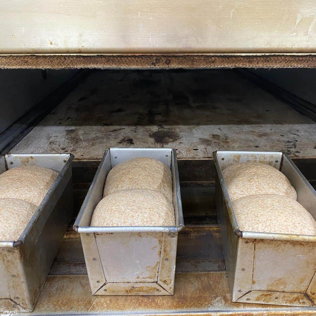 魔女菅原のグルメインスタ