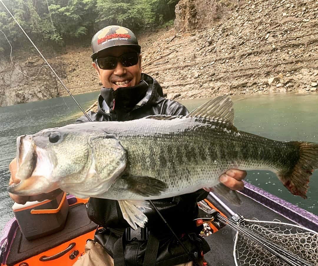 Megabass Inc.のインスタグラム：「Nice catch with KARASHI from IKEHARA!!! @tsuguhikokomori  #megabass #メガバス #bassfishing #バスフィッシング #karashi #karashifish #小森嗣彦」