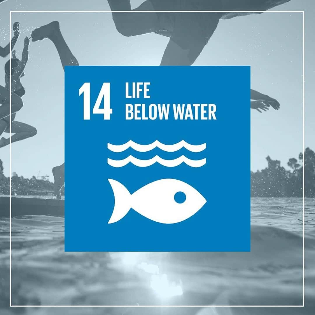 ダヴィネスさんのインスタグラム写真 - (ダヴィネスInstagram)「. 【持続可能な開発目標（SDGs）🌏】 . 国連にて採択された持続可能な開発目標(SDGs)をご存知でしょうか？ . 最近雑誌などでもよく見かけますが、17個ある目標のうち、 14番目の目標は「海の豊かさを守ろう」です。 . 海は世界で最も大きな生態系であり、 海を守ることは私たちの未来を守ることでもあります。 . #davines #davinessalon #sustainablebeauty #becomeanoceankeeper #ダヴィネス #サステイナブルビューティ #未来の海はここからはじまる」6月25日 11時00分 - davinesjapan