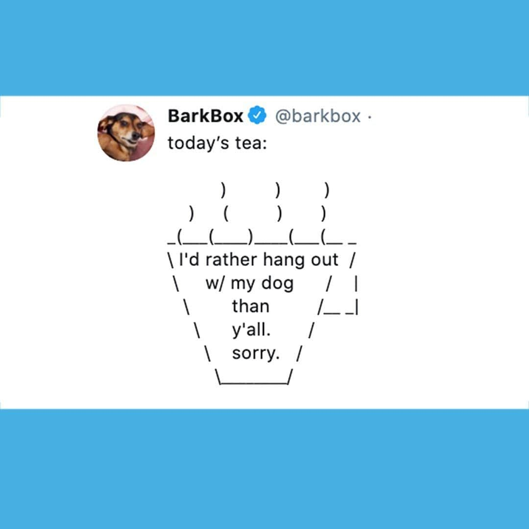 BarkBoxさんのインスタグラム写真 - (BarkBoxInstagram)「*every day’s tea」6月25日 10時56分 - barkbox