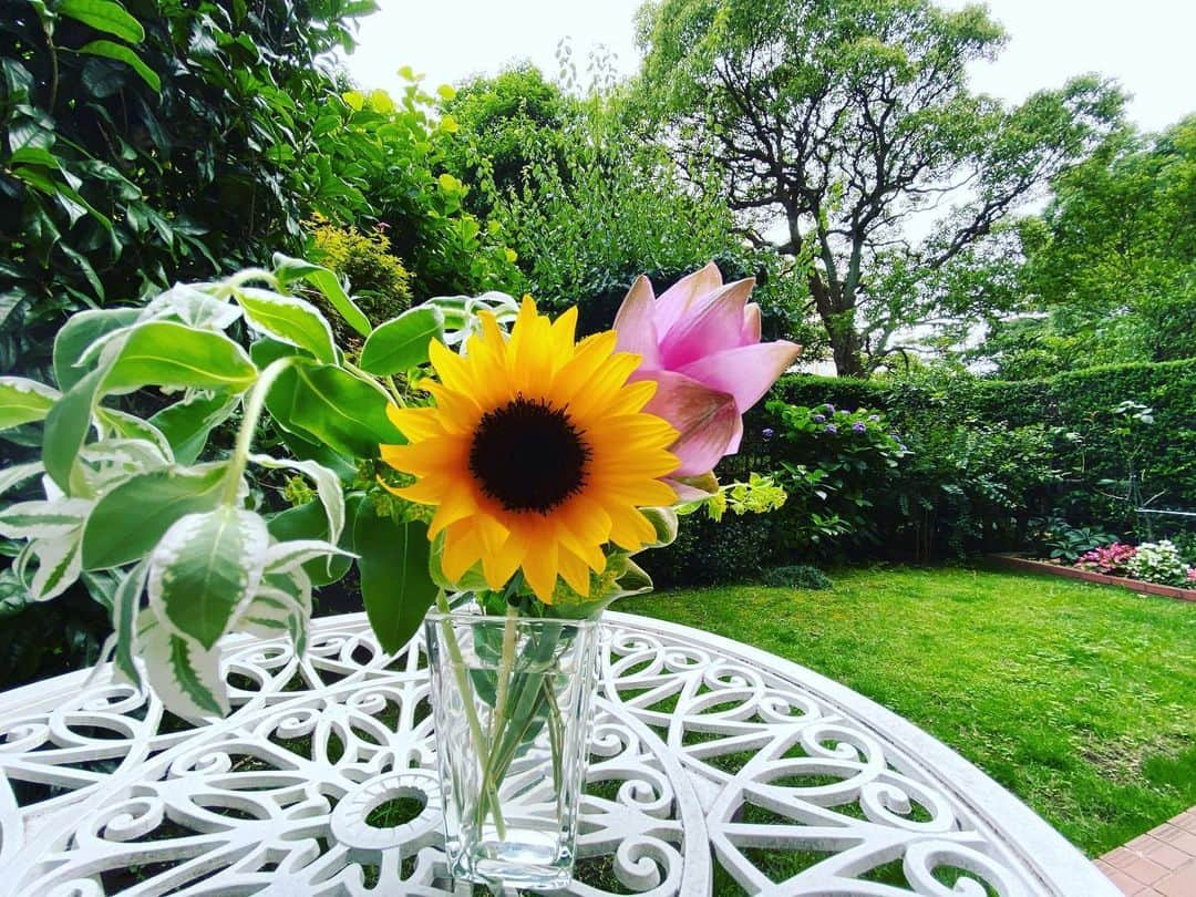 牛窪万里子さんのインスタグラム写真 - (牛窪万里子Instagram)「雨が降る日が続きますね  早くもひまわりの季節。  私の誕生花。  太陽が出たようにパッと明るくなります！  今日もリモートワーク。  #ひまわり #向日葵 #ヒマワリ #誕生花 #パッと明るくなる #mybirthflower」6月25日 11時10分 - mariko_ushikubo