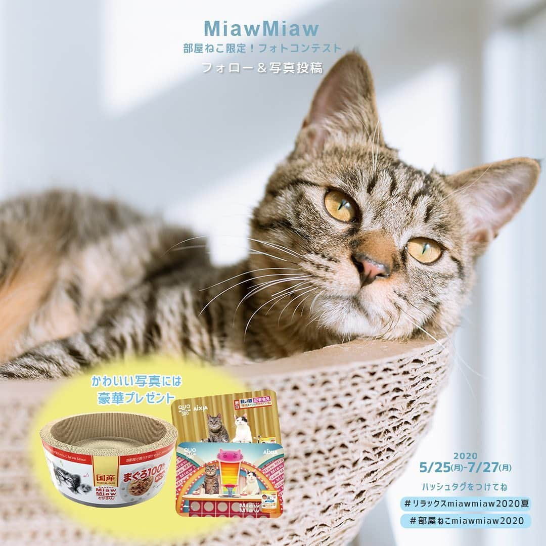 MiawMiawのインスタグラム：「＼部屋ねこ限定🐈🏠！フォトコンテスト開催中📷🏆！／⁣ ⁣ MiawMiawはただいまフォトコンテストを開催中♪⁣ 自慢の猫ちゃんを投稿して豪華賞品をGETしよう🎉⁣ ⁣ おうち時間が増えて、みなさんも猫ちゃんと一緒の時間が増えているはず✨⁣ おうちの中でかわいい猫ちゃんの写真を撮ったら、⁣ テーマに合う指定の応募ハッシュタグをつけて投稿してください🐈💓⁣ ⁣ ⁣ ＜参加方法＞⁣ ① @miawmiaw_series (ミャウミャウ公式アカウント)をフォロー⁣ ② 応募テーマに合ったお写真を撮影する（おうちの中での写真なら過去の写真でもOK)⁣ ③ 下記のフォトコン専用ハッシュタグの中から、一つ選んで投稿する（複数応募・複数枚投稿可）⁣ ※キャンペーン期間外(過去投稿)の投稿に応募ハッシュタグを付けた場合はキャンペーンの応募対象外とさせていただきます。ご了承ください。⁣ ⁣ ＜フォトコン専用ハッシュタグ＞⁣ ①～②のいずれかの応募テーマを選択し、指定のハッシュタグを付けて投稿してください♪⁣ ⁣ 【①猫ちゃんのリラックスしているフォト】⁣ #リラックスmiawmiaw2020夏⁣ ※「2020夏」を付けていただかないと今回の応募の対象になりませんのでご注意ください。⁣ ⁣ 【②お部屋の中にいる猫ちゃんのフォト】⁣ #部屋ねこmiawmiaw2020⁣ ⁣ フォトコンテスト期間中、指定のハッシュタグでご参加いただいている方を、当アカウントでご紹介させていただくこともございます😻📷♪⁣ ⁣ ＜募集期間＞⁣ 2020年5月25日(月)～2020年7月27日(月)23:59まで⁣ ⁣ ＜賞品＞⁣ 🏆大賞　各テーマ1名様　：投稿フォト入りオリジナル猫用爪とぎ＋MiawMiaw商品詰め合わせ⁣ 🏆金賞　各テーマ3名様　：オリジナルQUOカード( 合計800円分)＋MiawMiaw商品詰め合わせ⁣ 🏆銀賞　各テーマ5名様　：MiawMiaw商品詰め合わせ⁣ ⁣ ※賞品の画像はイメージです。変更になる場合がございます。⁣ ⁣ ＜当選者様へのご連絡＞⁣ 当選者発表は8⽉中旬を予定しております。⁣ 当選者の⽅には Instagram上のDMにてご連絡致します。⁣ ⁣ ＜ご注意＞⁣ ＊本キャンペーンにご参加いただくことにより、本募集要項に同意いただいたものとみなします（未成年の方については、親権者に同意いただいたものとみなします）。⁣ ＊選考時に、アカウントフォロー及び指定のハッシュタグ投稿を継続いただいていることが確認できない場合、選考の対象から外れることがあります。フォトコンテスト終了からおおむね1か月程度、参加条件に達する状態を継続いただくことをお勧めします。⁣ ＊アカウントを非公開設定にしている場合は選考対象外となります。⁣ ＊再選考は行いません。⁣ ＊当選者は、配送の都合で日本国内にお住まいの方に限らせていただきます。⁣ ＊企業アカウントからのご応募は選考対象外となります。⁣ ＊賞品の返品・交換はできませんのでご了承くださいませ。⁣ ＊賞品の転売は禁止させていただきます。⁣ ＊通信環境の問題でDMが不着となった場合、又はご当選通知のDMに記載の手続きを履行いただけない場合、ご当選の資格は無効となります。⁣ ＊賞品画像はイメージとなります。⁣ ＊本キャンペーン参加にあたって生じるインターネット接続料や通信料、当選連絡DMに記載の手続を履践するにあたって生じる諸費用は、ご本人様の負担となります。⁣ ＊本キャンペーンで投稿いただいた写真や動画は、当社公式Instagramアカウントにてご紹介させていただく場合がございます。なお、このご紹介は選考結果とは関係がありません。⁣ ⁣ たくさんのご応募お待ちしております😻！⁣ ⁣ #miawmiaw #ミャウミャウ⁣ #部屋ねこ #おうち時間を楽しむ #フォトコンテスト #コンテスト #プレゼント企画 #プレゼント #プレゼントキャンペーン #キャンペーン開催中 #キャンペーン #ねこのいる生活 #ねこばか #ネコ好き #猫 #ねこ #ネコ #にゃんこ #猫部 #猫のいる暮らし #キャットフード #猫好きさんと繋がりたい #猫好き #にゃんこ部 #にゃんすたぐらむ #ねこすたぐらむ #にゃー #stayhome」