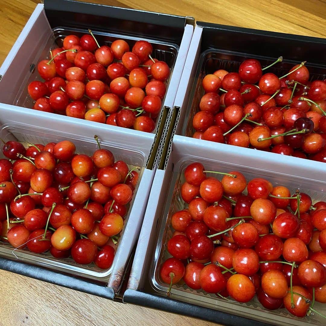 鮫島彩のインスタグラム：「・ ・ 山形のさくらんぼ🍒 ・ ・ 水々しくてすごく甘い…！！ これは誰か止めてくれないとノンストップで何箱でも食べちゃう美味しさです🥰 本当に止まらない。笑 ・ ・ 新型コロナの影響でさくらんぼ狩りに来る方が減ってしまい、さくらんぼ農家の方々が今とても困っているそうです😢 ・ ・ 遠方でさくらんぼ狩りにいけない方は配送も行っているそうなので、みなさん是非山形の美味しいさくらんぼを食べてくださーい😊🍒 ・ ・ #牧野観光フルーツ園」