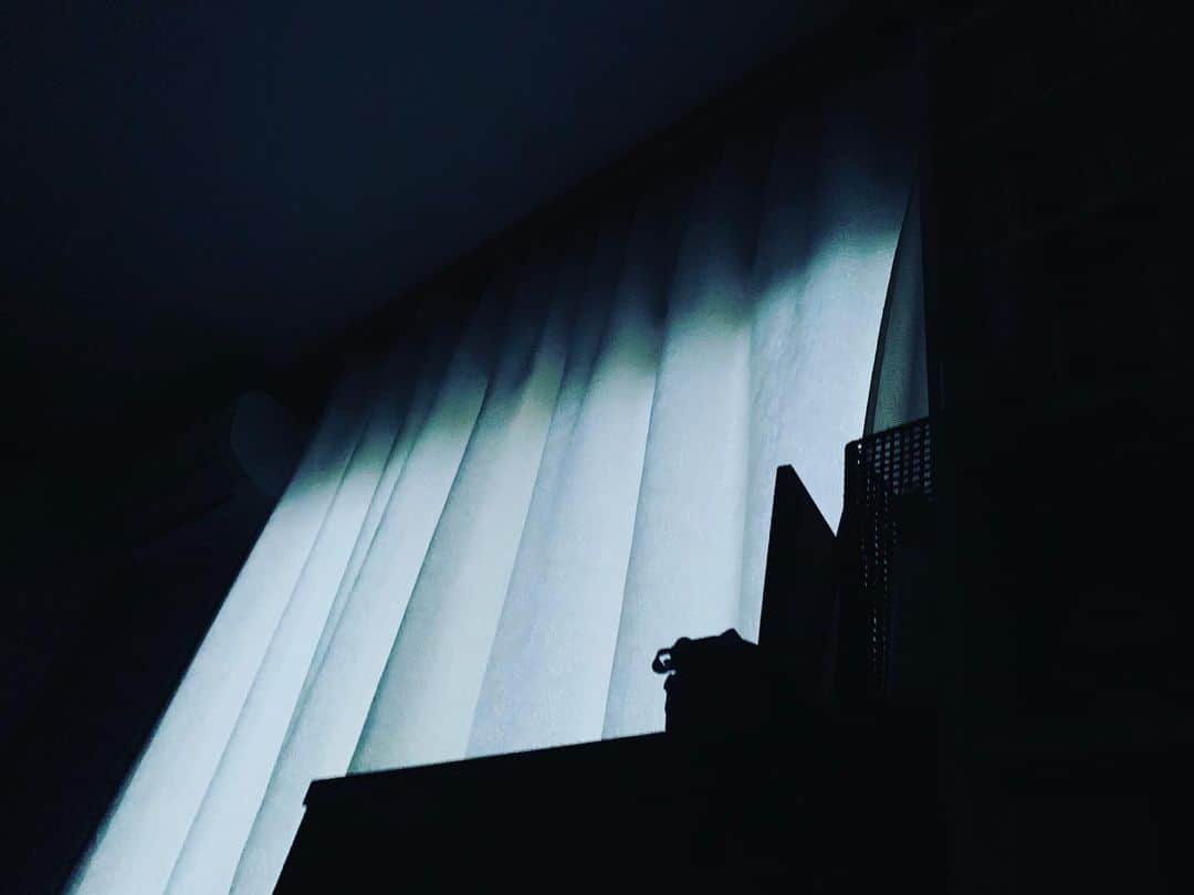 佐藤東弥のインスタグラム：「今朝、地震で目が覚めた そのまま眠れずロケへ ああ、もう眠い おやすみなさい」