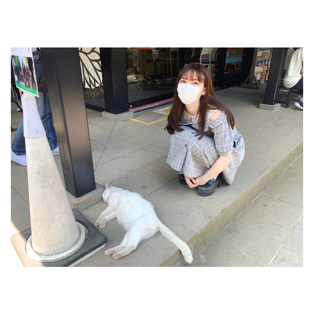 平岡映美さんのインスタグラム写真 - (平岡映美Instagram)「神社でこんなに気持ちよさそうに眠っている猫さまが🐈 ものすごいパワーがありそうな✨ ・ 皆さま今日もおつかれさまです。 #平岡映美 #猫の寝顔  #感謝」6月25日 20時42分 - eimi_hiraoka_official