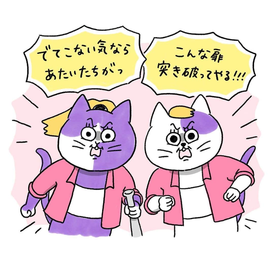 澤村 花菜さんのインスタグラム写真 - (澤村 花菜Instagram)「トイレに入ると暴動が起きるのが最近の悩みです。 . #ぐみごまのまんが #イラスト #comics#illustration#cats#drawing#tokyo」6月25日 20時55分 - hamchim