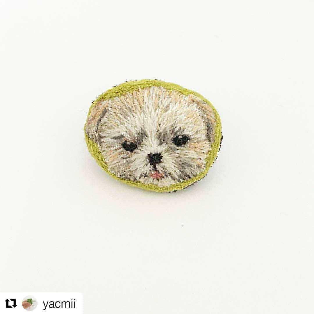 タンゲクンのインスタグラム：「そして @yacmii さんに作って頂いた旬太郎ピンブローチです これは小さい時で今のように口の周りに月の輪熊みたいなのが薄くて幼い😉」