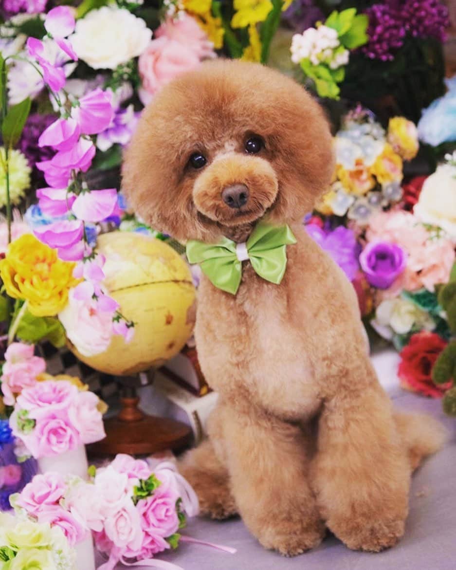 知念芽衣のインスタグラム