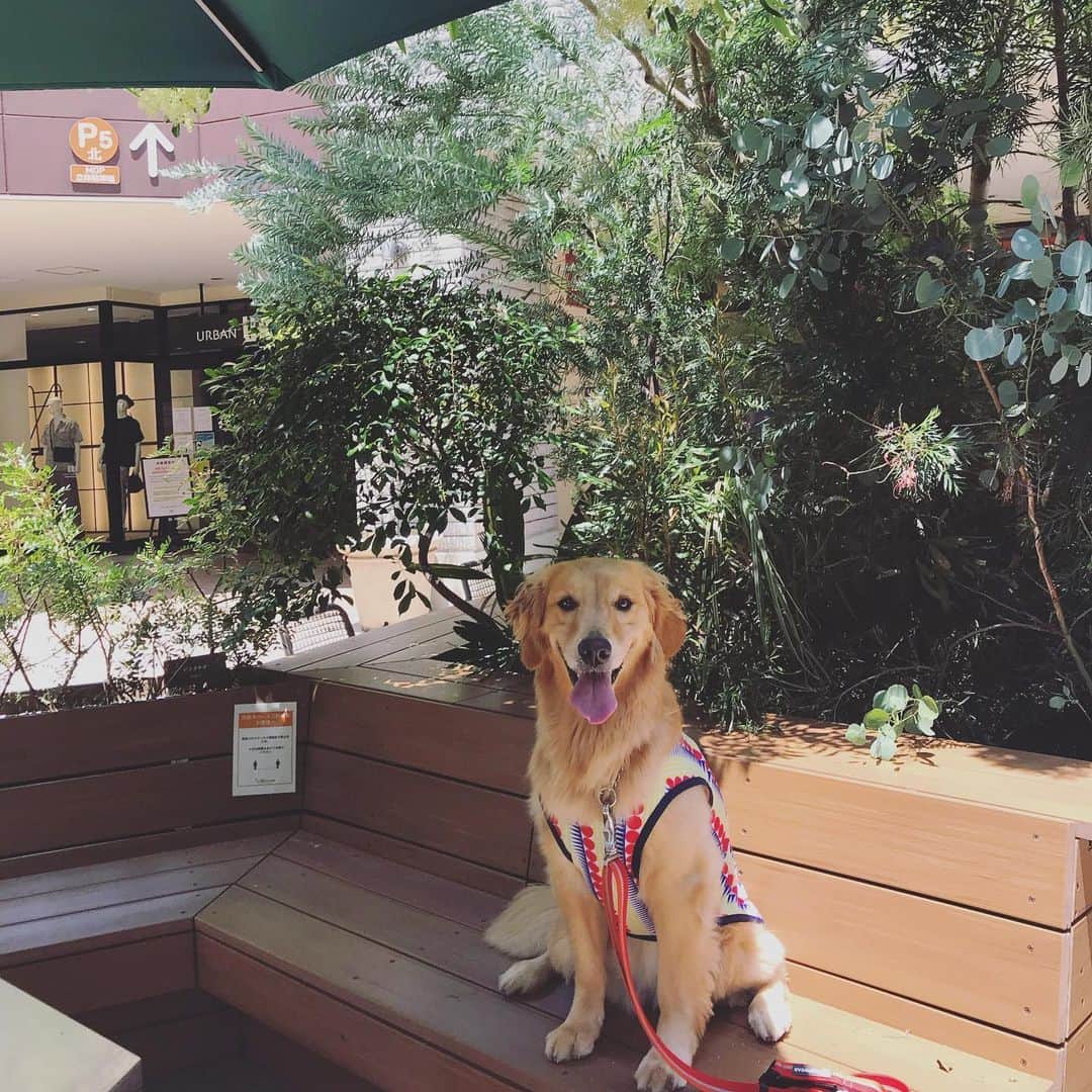 ikumiのグルメインスタ